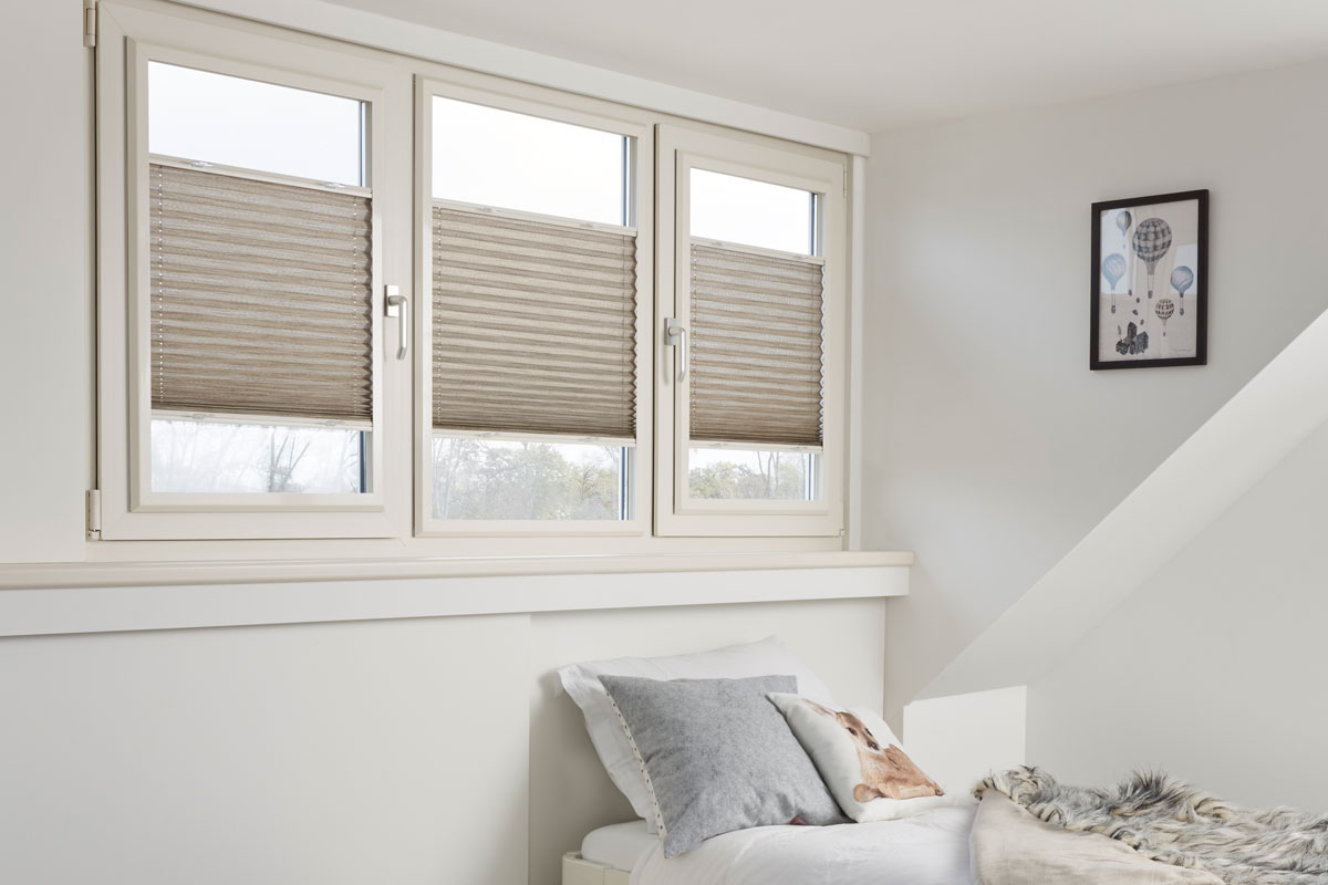 Porno: Eng chiroyli qizlar mushuklarini korsatishadi